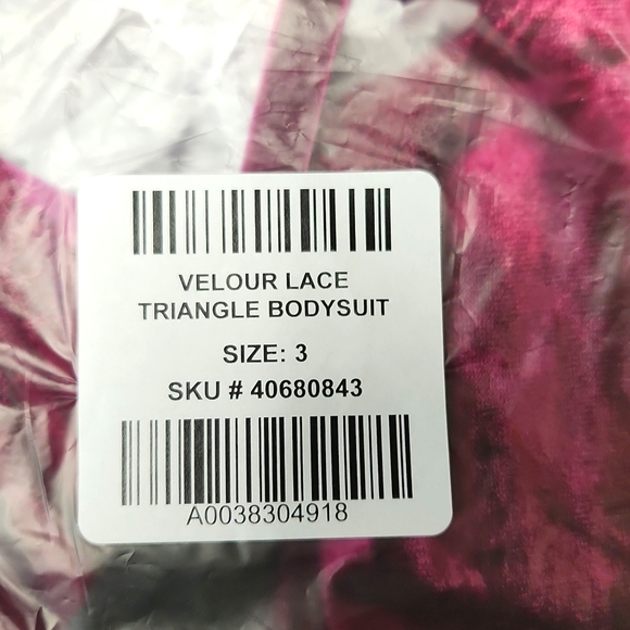 ❤️NWT VINTAGE TORRID  LINGERIE BODYSUIT VELOUR LACE TRIANGLE CUTOUT THONG - PLUS - Picture 11 of 11